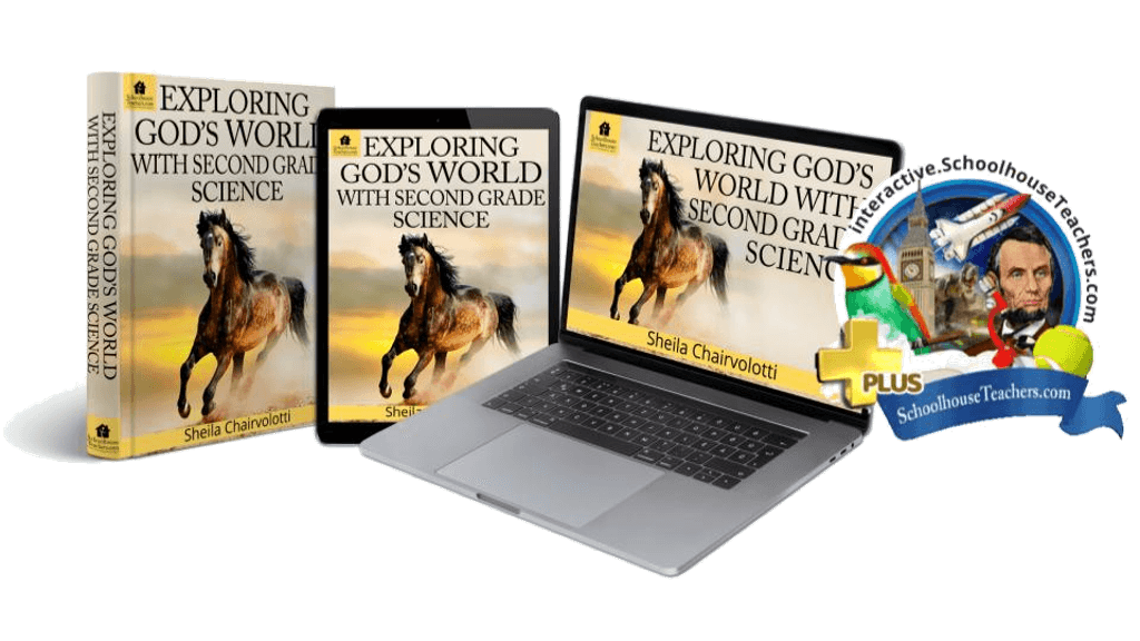 Responsive image